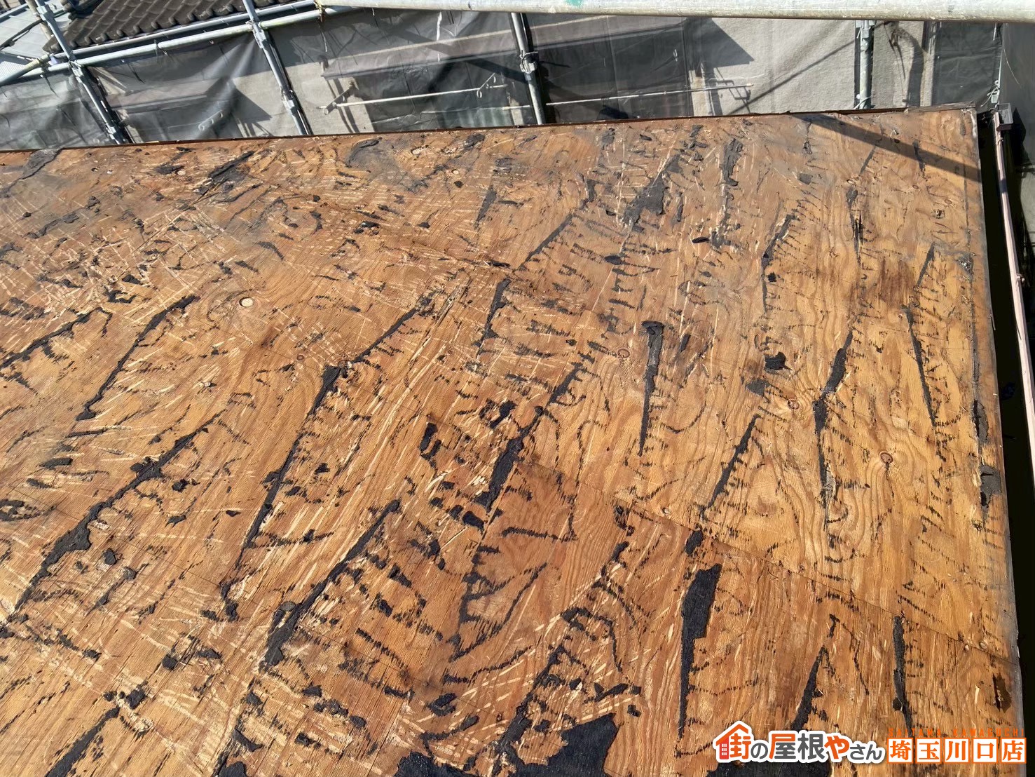 既存のルーフィング剥がし